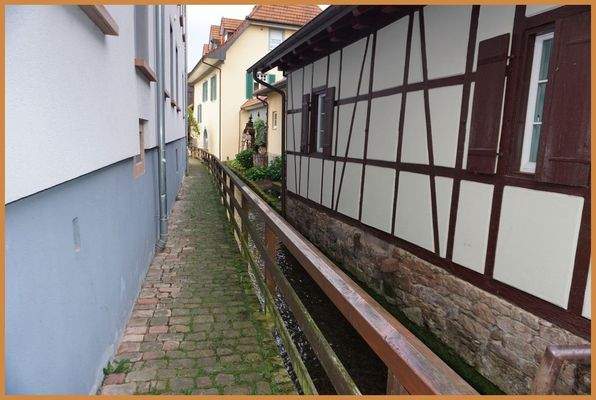 Seitenansicht - historischer Bachlauf