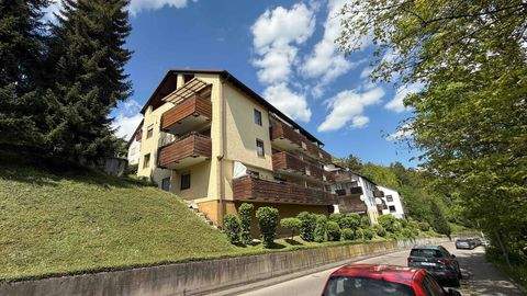 Nagold Wohnungen, Nagold Wohnung kaufen