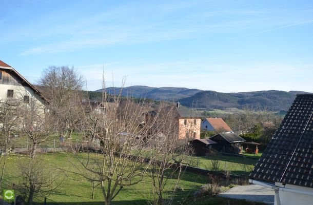 Bild 19