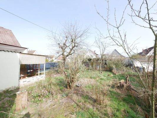 Blick in den sehr großen Garten