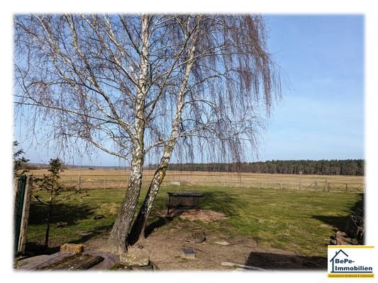 BePe-Immobilien_Sandförde_Pasewalk_Bild_15.jpg