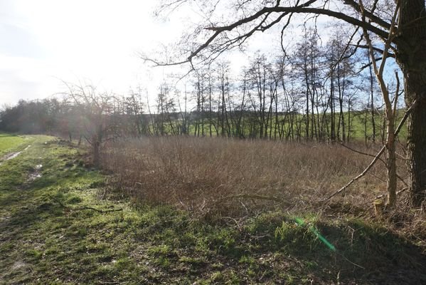 Pommoissel_Acker_Grünland_Immonet_013.jpg