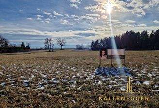 Grundstücksansicht von vorne