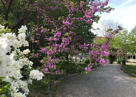 Pause im Koeltzepark ?