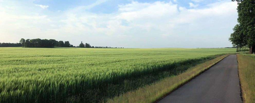 Felder-Wege-Wiesenburg neu.jpg