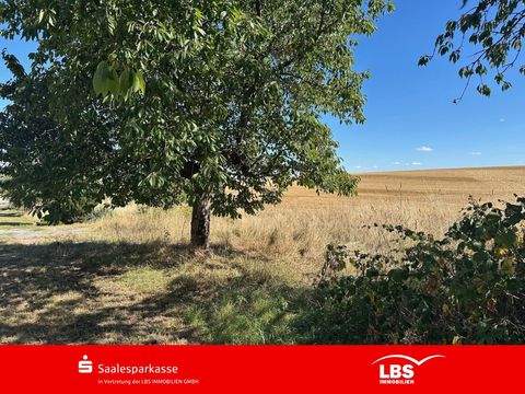 Querfurt Grundstücke, Querfurt Grundstück kaufen