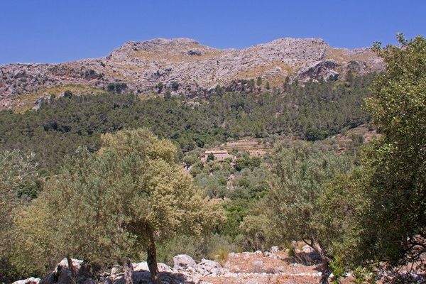 Kensington Mallorca North