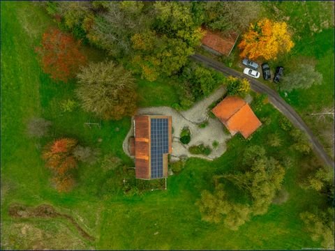 Triftern Bauernhöfe, Landwirtschaft, Triftern Forstwirtschaft