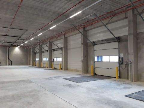 Bad Hersfeld Halle, Bad Hersfeld Hallenfläche