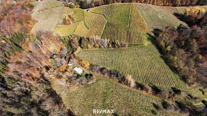 Gesamte Liegenschaft