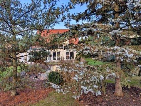 Müllrose Häuser, Müllrose Haus kaufen