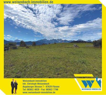 Weisenbach Immobilien