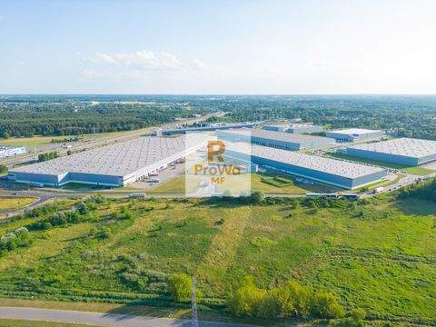 Heilbronn Halle, Heilbronn Hallenfläche