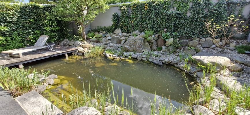 Bild 12