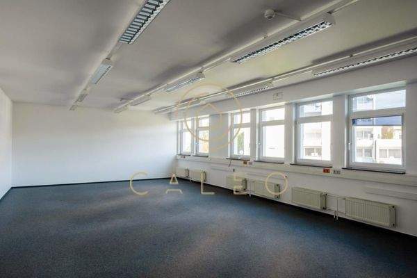 Innenansicht - Bürofläche 6