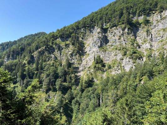 2025-08-19 11.04.54.jpg