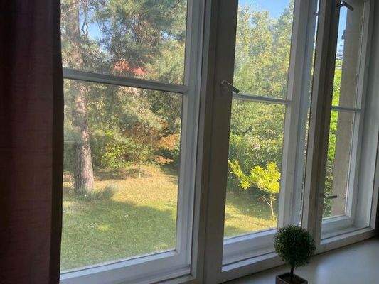 Blick vom WZ in den Garten