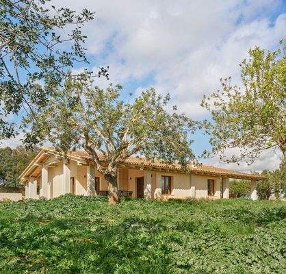 Schönes neu gebautes Haus zur Miete in Randa, Algaida BHHS-BAL-0904