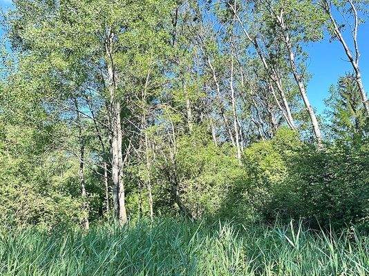 20250625_073822599_iOS