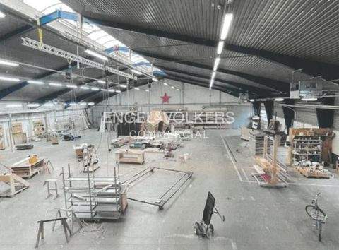 Oranienburg Halle, Oranienburg Hallenfläche