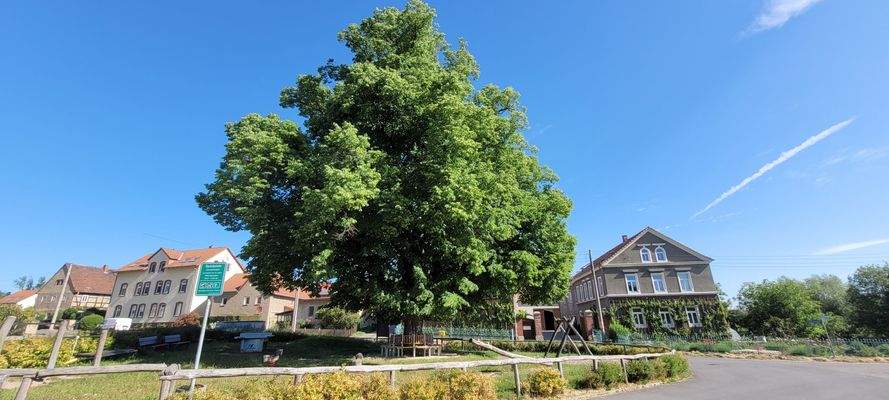 Der Dorfanger mit Spielplatz