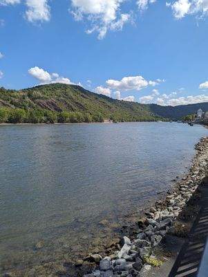 Gelegen in Rheinnähe