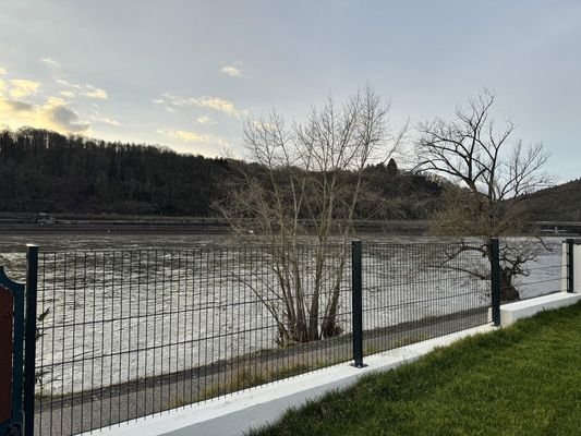 Rheinblick pur vom Grundstück 