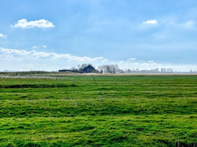 renovieren, wohnen, genießen