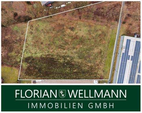 Stemshorn Industrieflächen, Lagerflächen, Produktionshalle, Serviceflächen