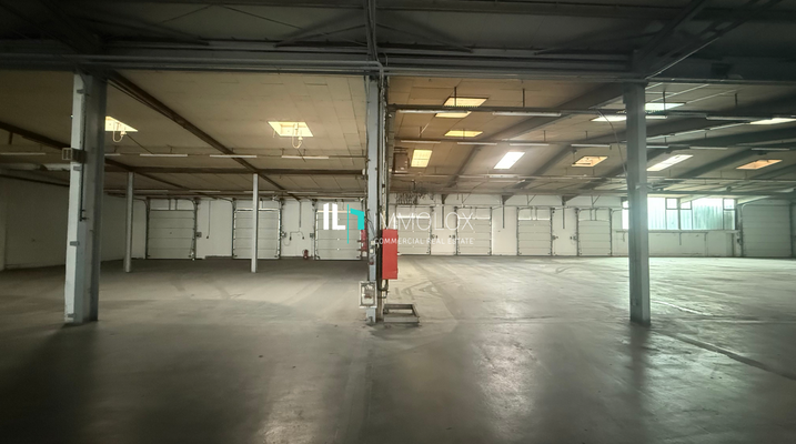 Telefon: 069 50699990