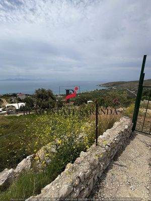 WhatsApp Image 2025-05-11 at 11.26.59.jpeg