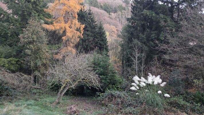 Grünfläche hinter dem Gebäude