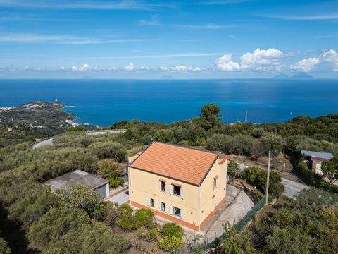 Naso Häuser, Naso Haus kaufen