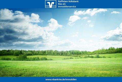 Deiningen Bauernhöfe, Landwirtschaft, Deiningen Forstwirtschaft