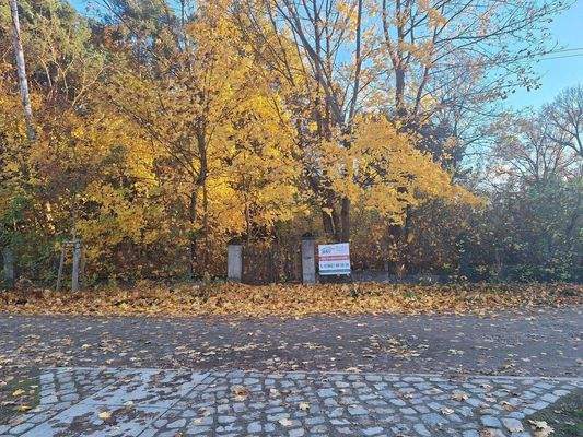 Blick auf das Grundstück