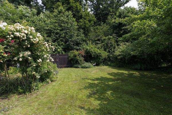 Blick in den Garten und den Freisinger Forst