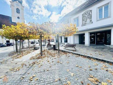 Hartberg Renditeobjekte, Mehrfamilienhäuser, Geschäftshäuser, Kapitalanlage