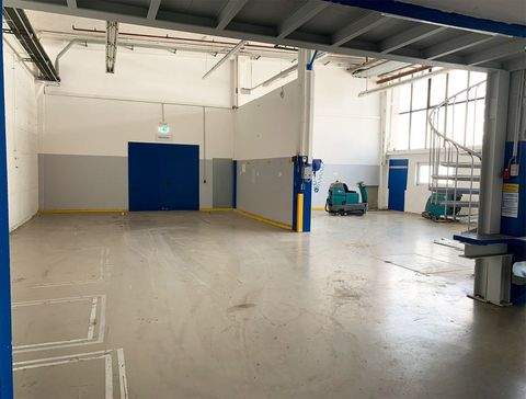 Markgröningen Halle, Markgröningen Hallenfläche