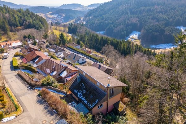 Schwarzwald pur