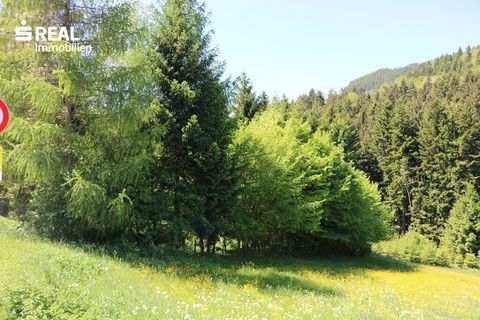 Waidhofen an der Ybbs Grundstücke, Waidhofen an der Ybbs Grundstück kaufen