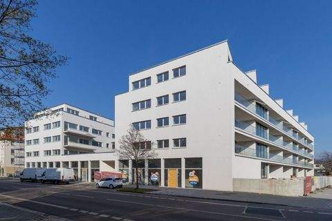 Dresden Ladenlokale, Ladenflächen 