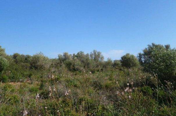 7178_03_Santanyi_Grundstueck