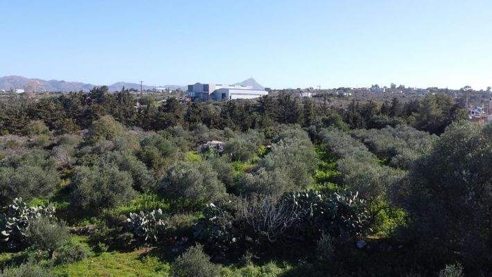 Kreta, Kampani: Ruhiges Grundstück in Akrotiri mit Bergblick zu verkaufen