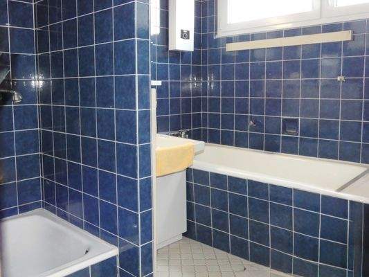 Tageslichtbad . Wanne u. Dusche