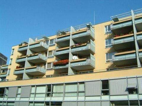 Dresden Halle, Dresden Hallenfläche