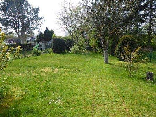 Blick in den Garten Sommer