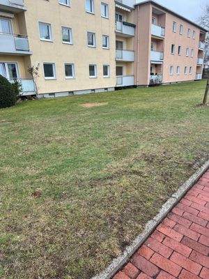 WhatsApp Image 2026-01-25 at 14.08.02