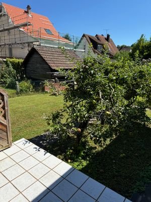 Blick in den Garten