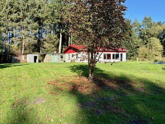 Wohnen am Waldesrand