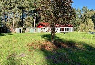 Wohnen am Waldesrand